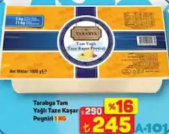TARABYA TAM YAĞLI TAZE KAŞAR PEYNİRİ 1 KG